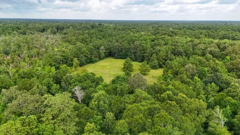 Hwy 90 Devers, TX 77538