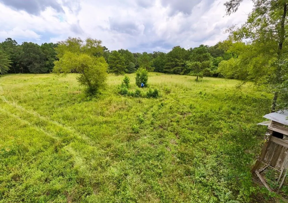 Hwy 90 Devers, TX 77538