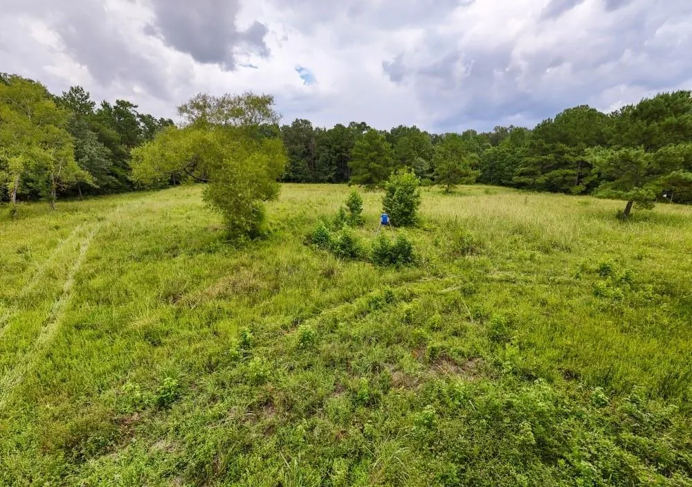 Hwy 90 Devers, TX 77538