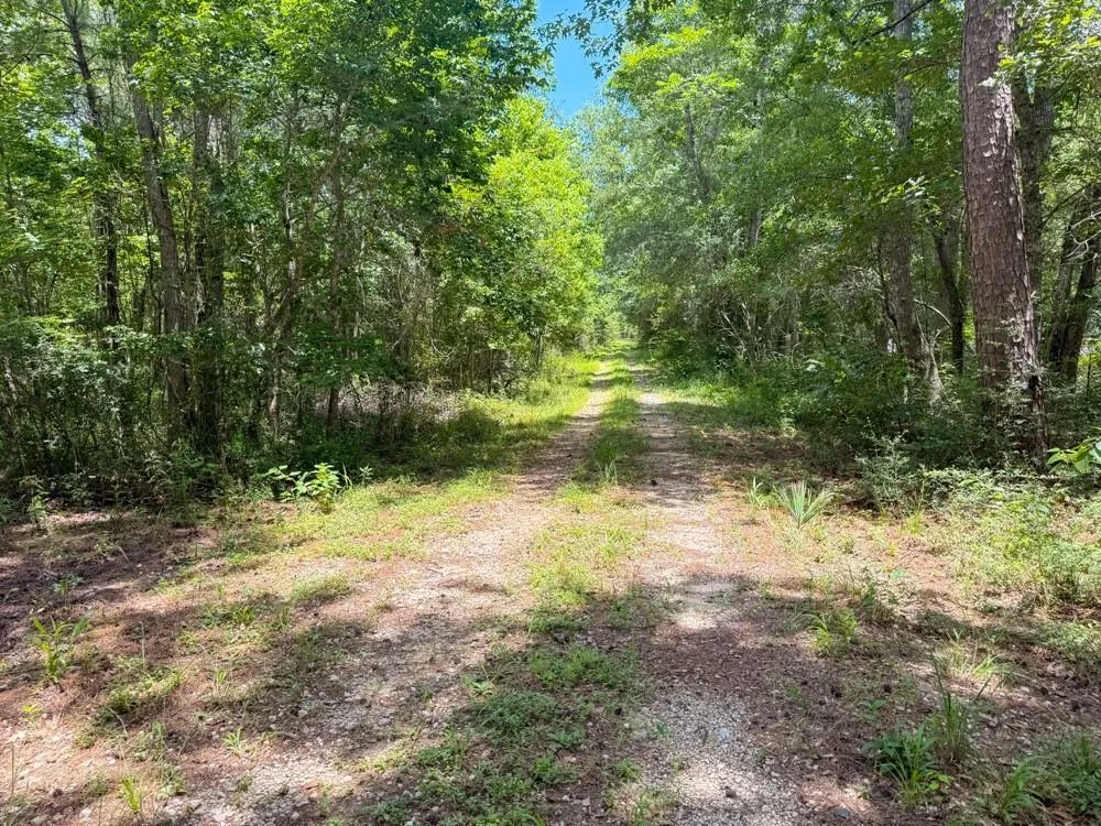 Hwy 90 Devers, TX 77538