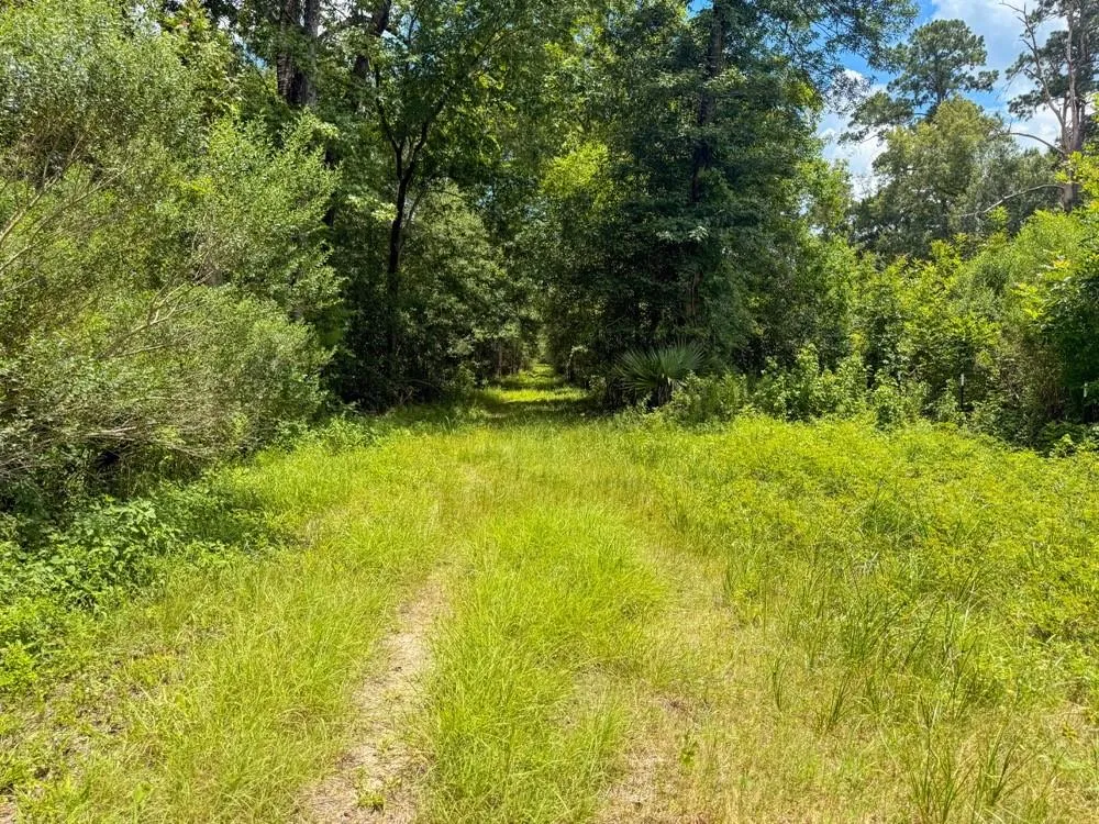 Hwy 90 Devers, TX 77538