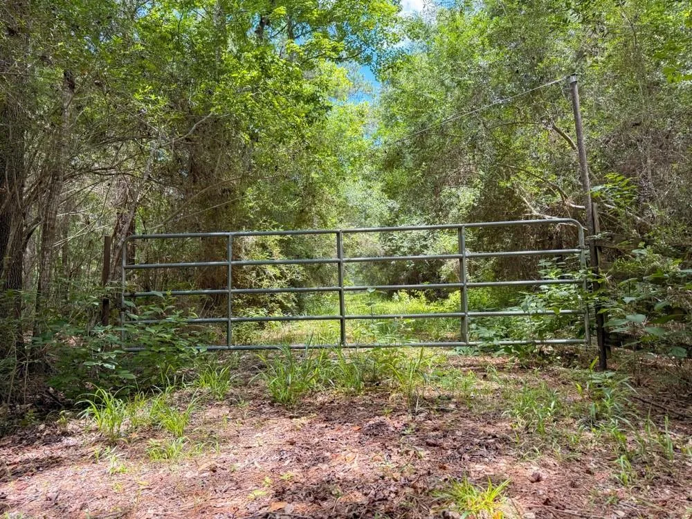 Hwy 90 Devers, TX 77538