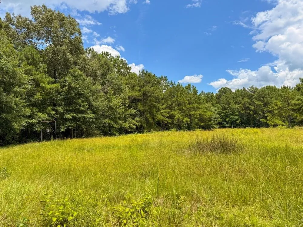 Hwy 90 Devers, TX 77538