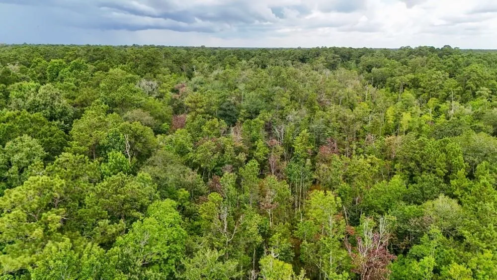 Hwy 90 Devers, TX 77538