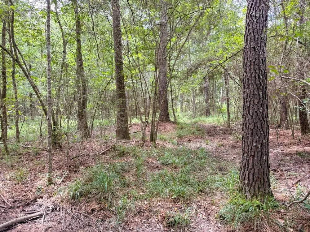 Hwy 90 Devers, TX 77538