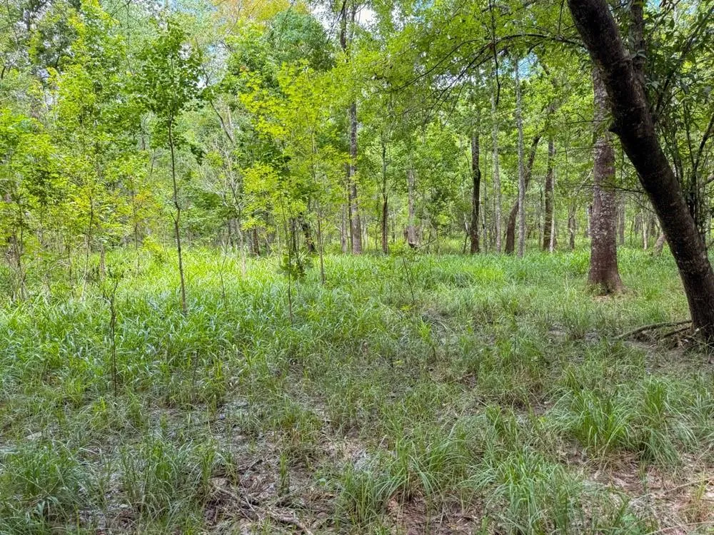 Hwy 90 Devers, TX 77538