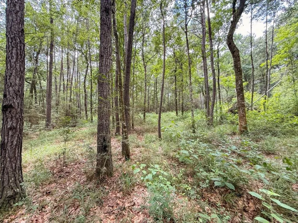 Hwy 90 Devers, TX 77538