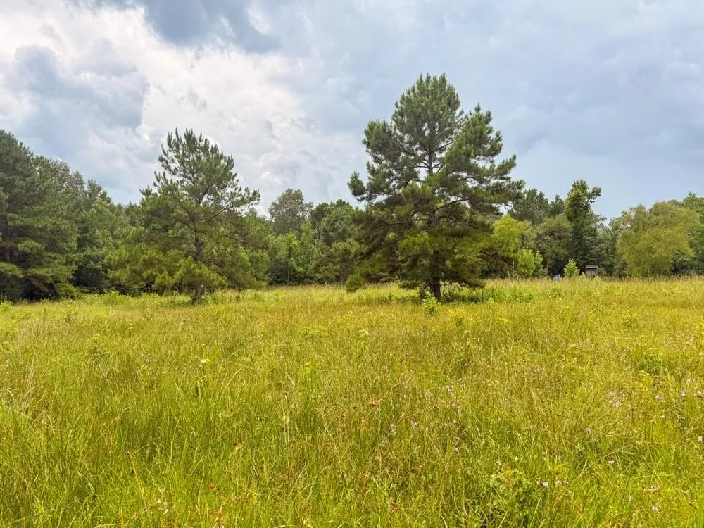 Hwy 90 Devers, TX 77538