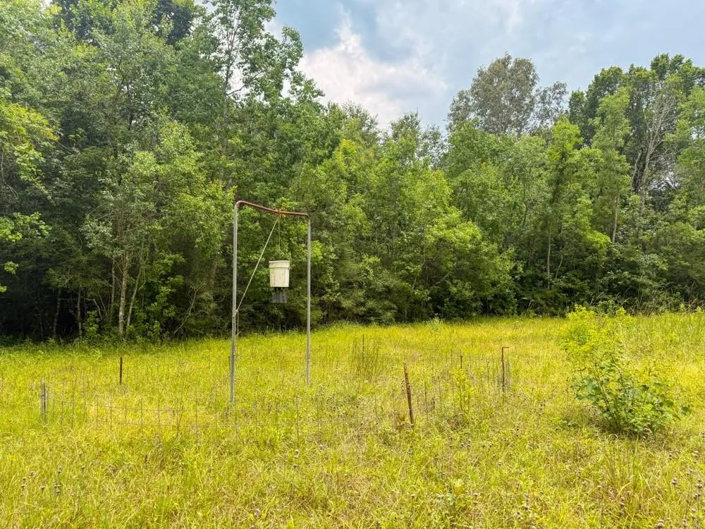 Hwy 90 Devers, TX 77538