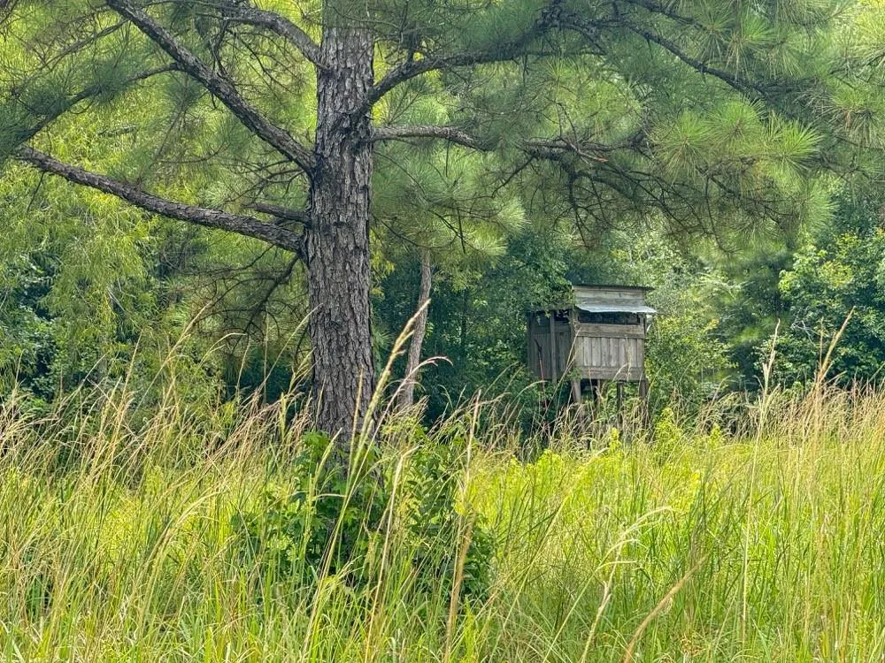 Hwy 90 Devers, TX 77538