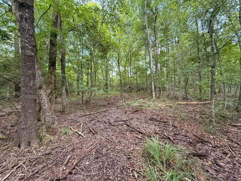 Hwy 90 Devers, TX 77538