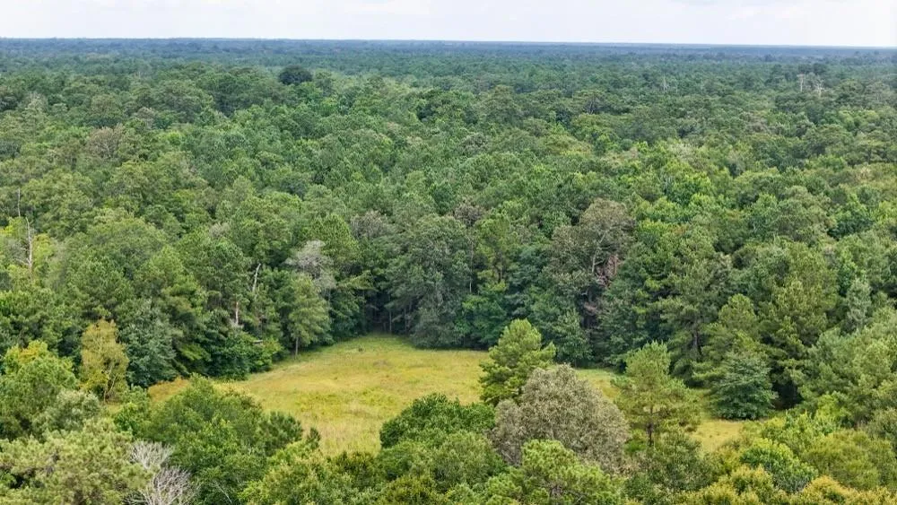 Hwy 90 Devers, TX 77538