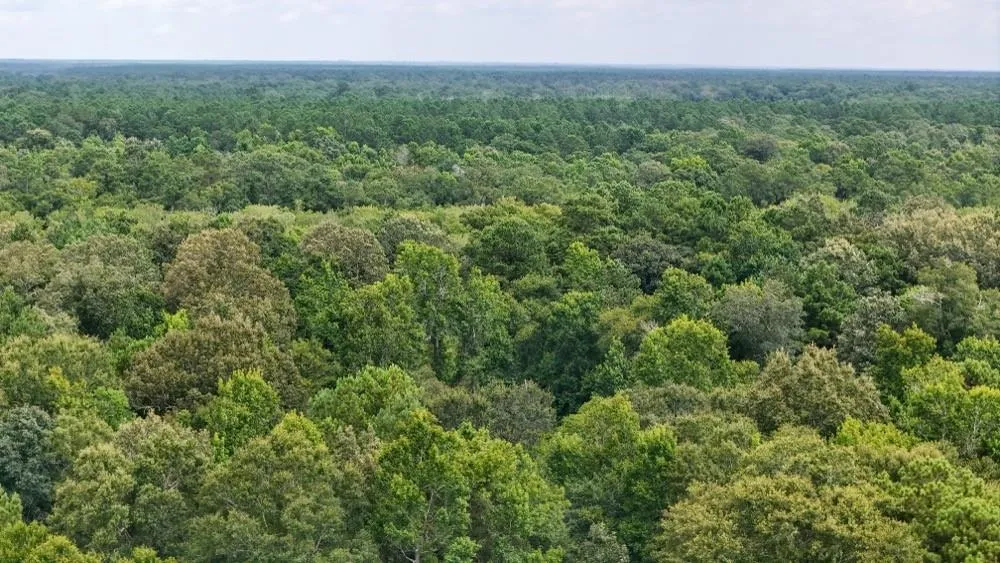 Hwy 90 Devers, TX 77538