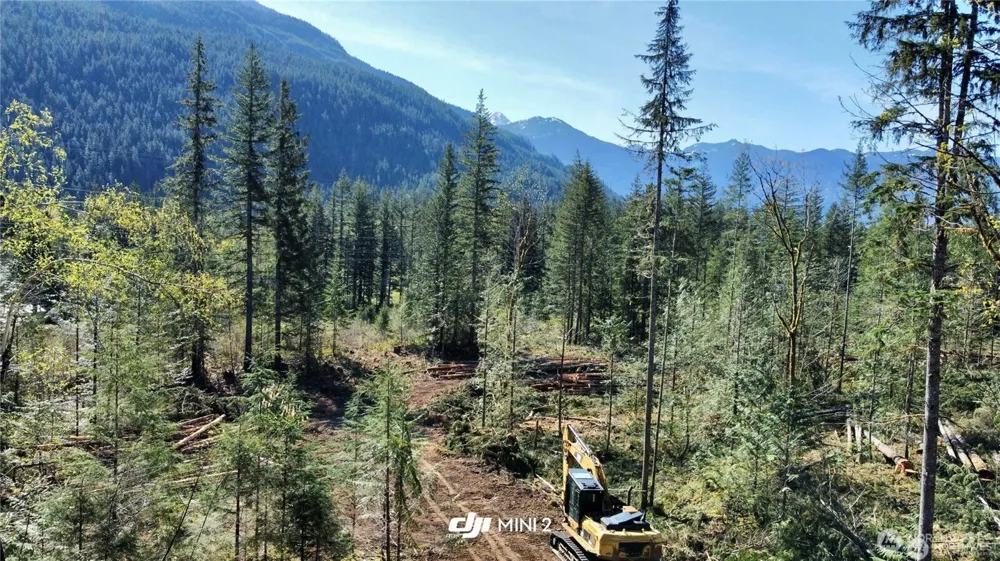 61164 Dexter Lane Marblemount, WA 98267