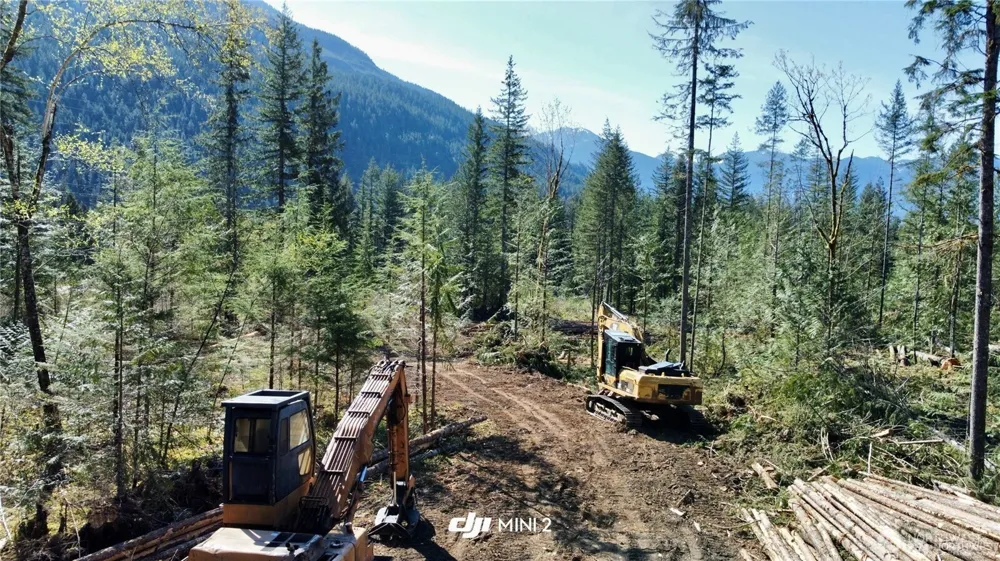 61164 Dexter Lane Marblemount, WA 98267