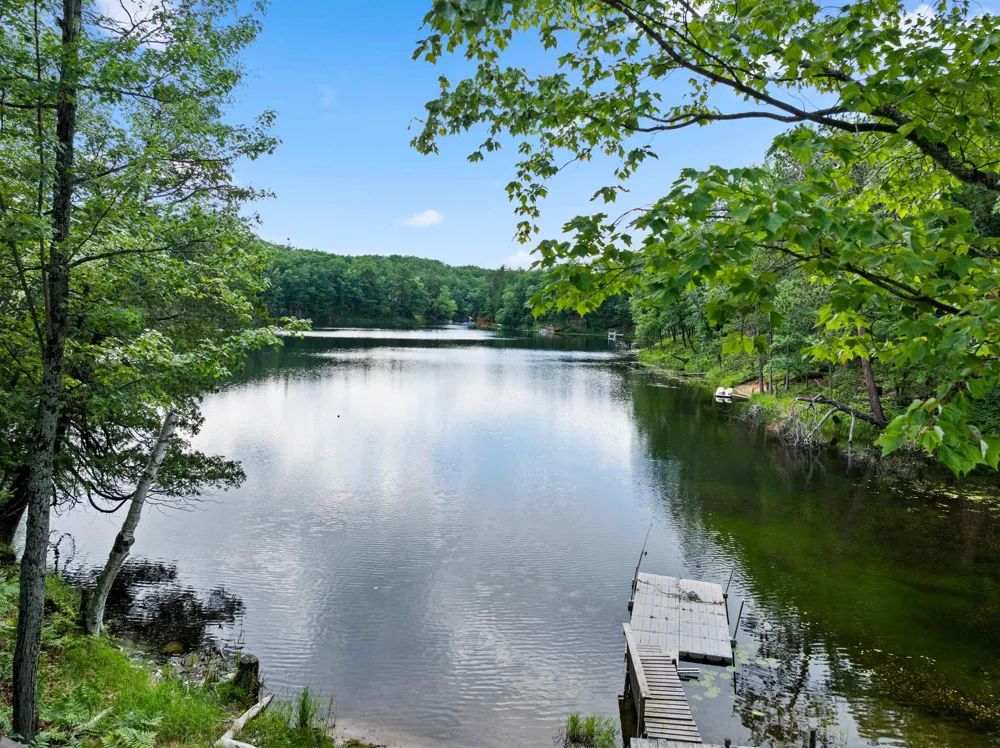 5290 E Twin Lake Road Big Creek Township, MI 48654