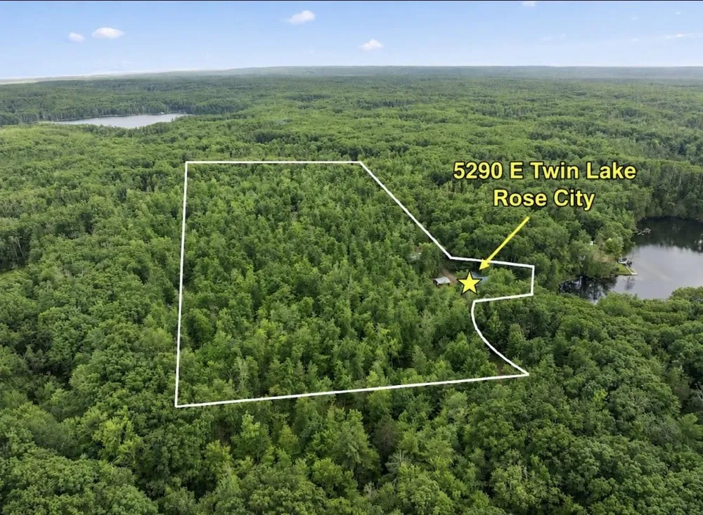 5290 E Twin Lake Road Big Creek Township, MI 48654