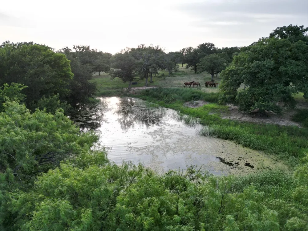951 FM 1476 Dublin, TX 76446