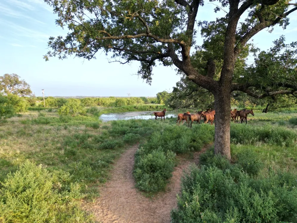 951 FM 1476 Dublin, TX 76446