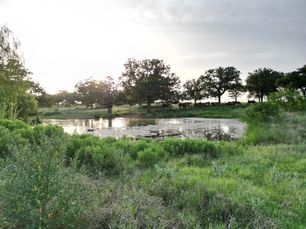 951 FM 1476 Dublin, TX 76446