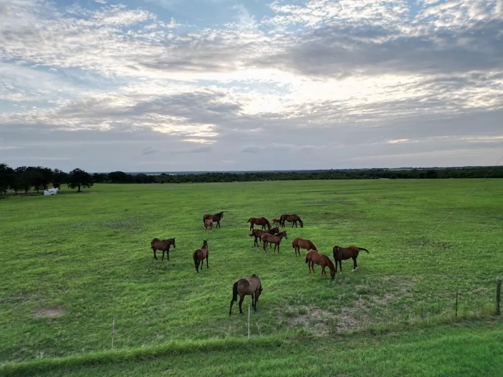 951 FM 1476 Dublin, TX 76446
