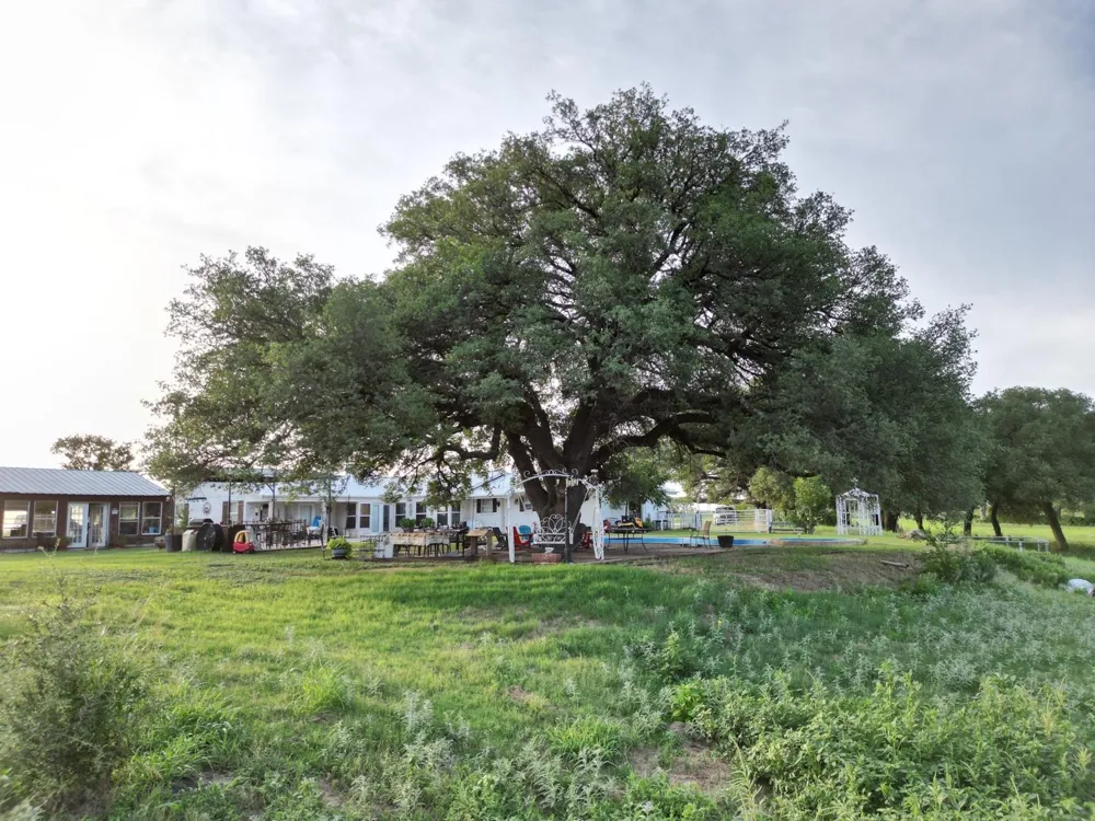 951 FM 1476 Dublin, TX 76446