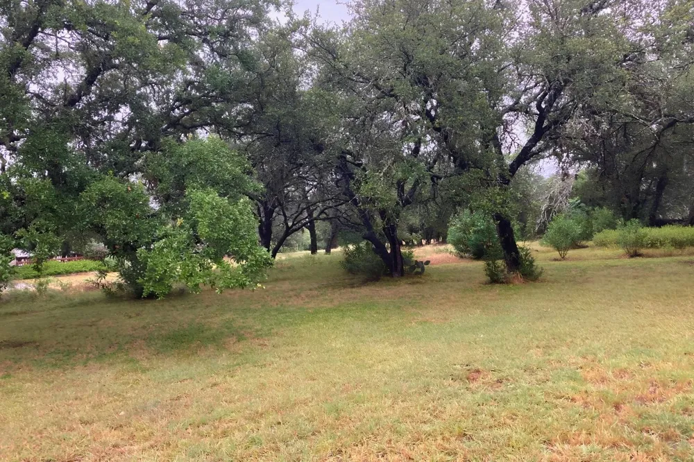 117 Keswick Drive Spicewood, TX 78669