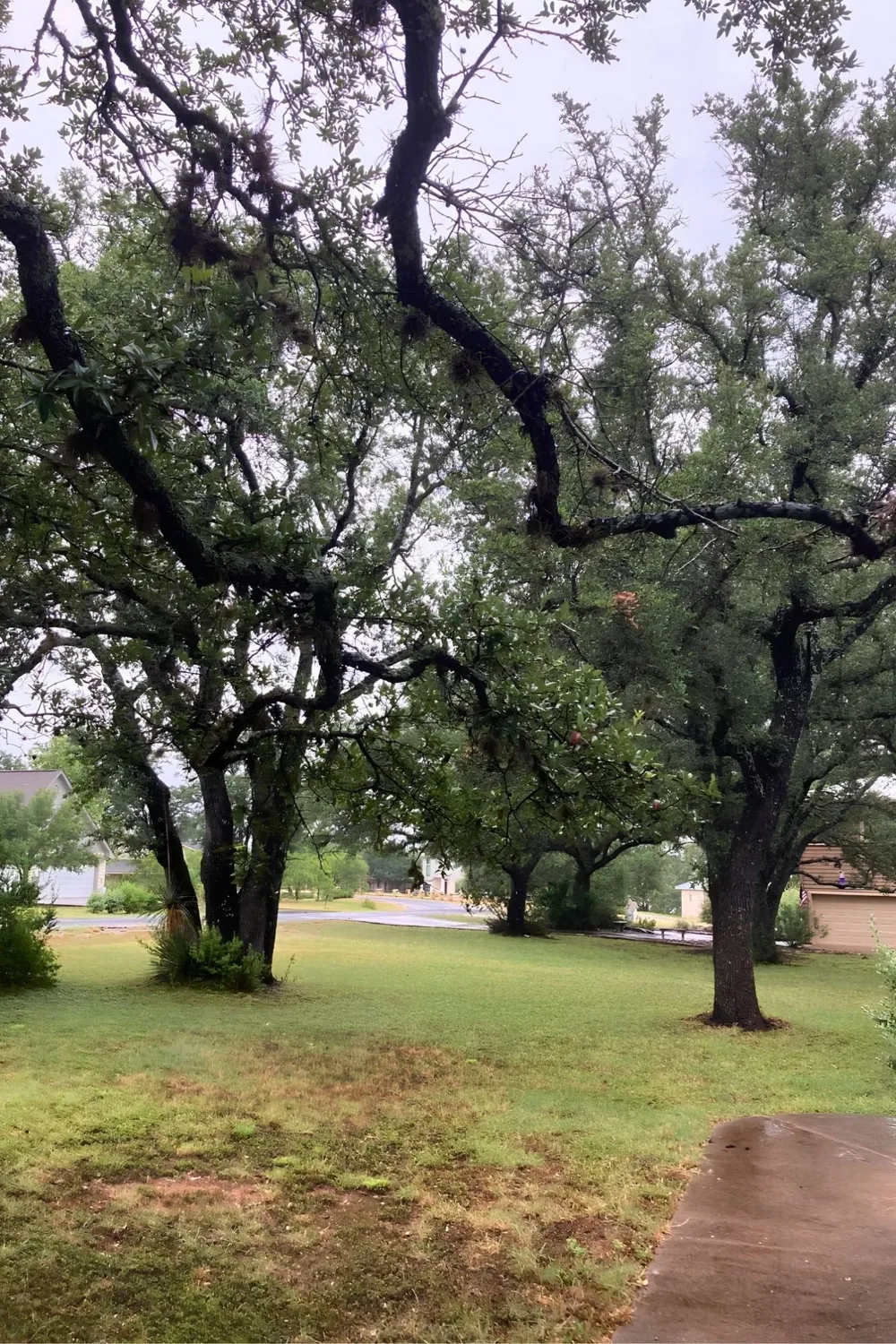 117 Keswick Drive Spicewood, TX 78669