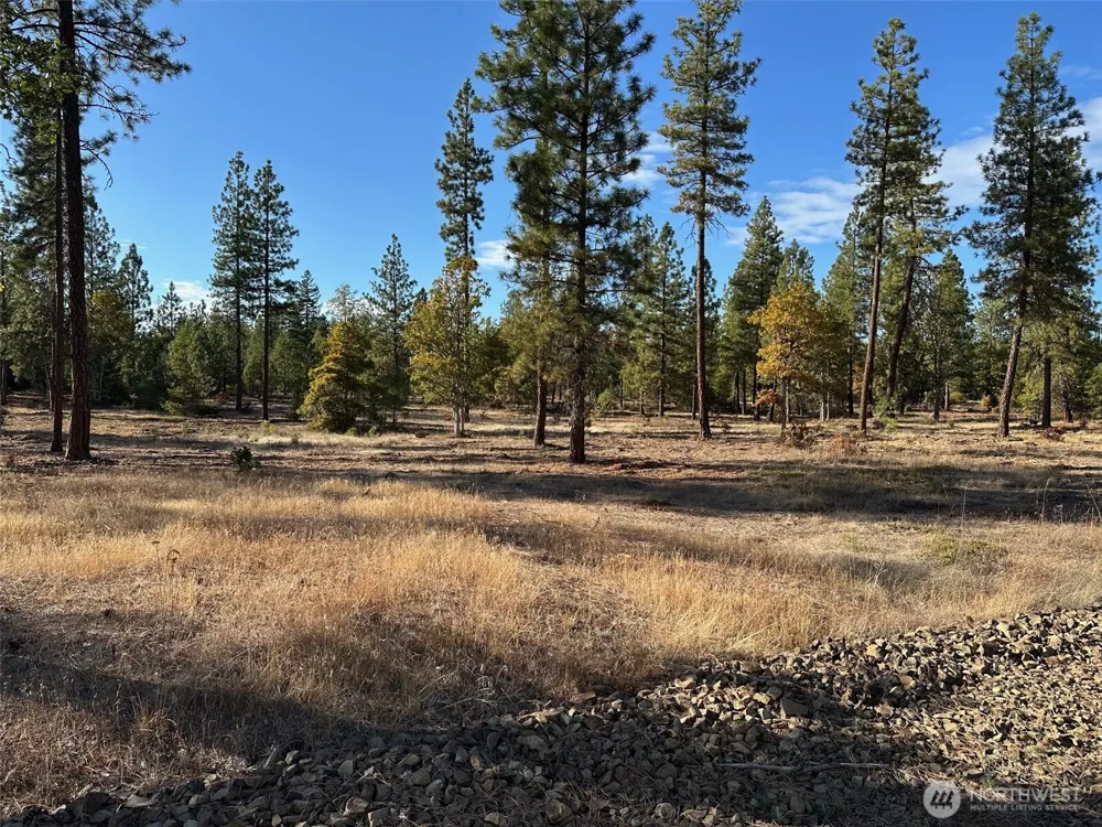 0 000 Piper Lane Goldendale, WA 98620