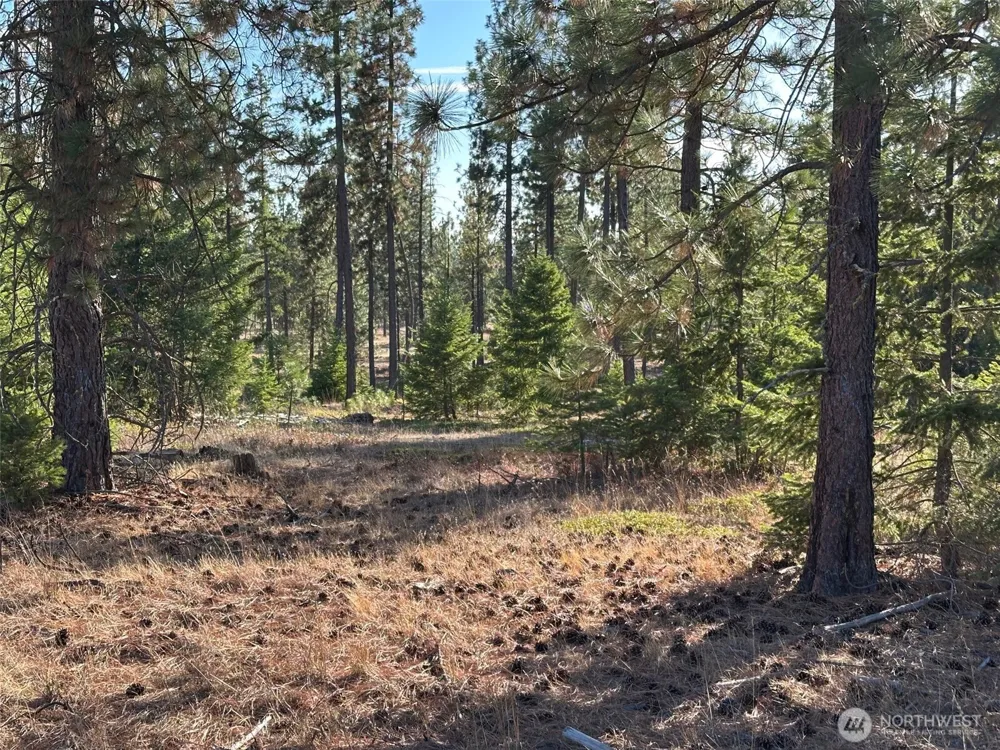 0 000 Piper Lane Goldendale, WA 98620