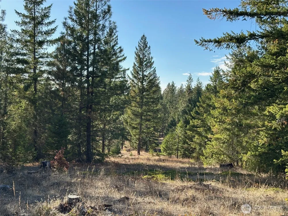 0 000 Skylar Drive Goldendale, WA 98620
