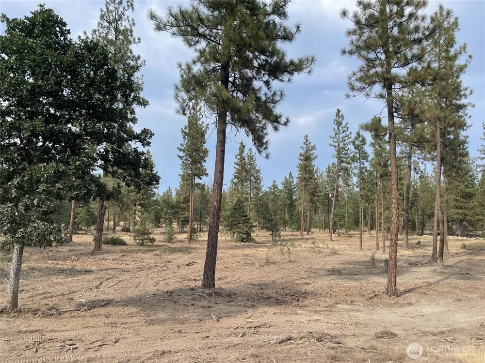 0 000 Skylar Drive Goldendale, WA 98620