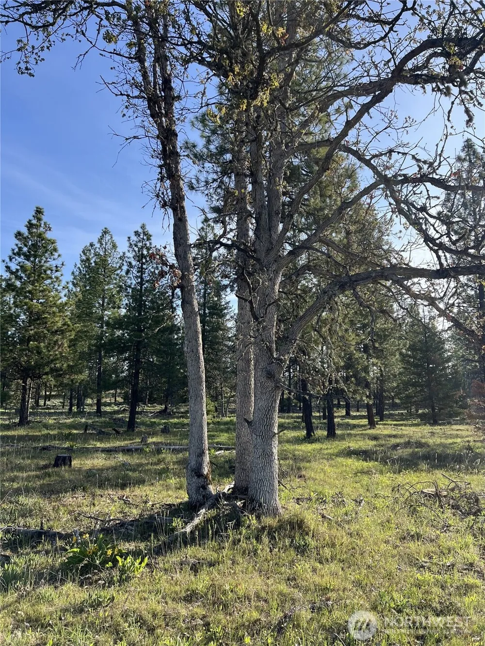0 000 Skylar Drive Goldendale, WA 98620