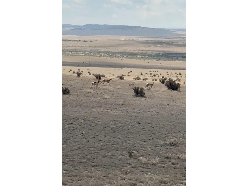 10 Cuerno Verde Ranches Walsenburg, CO 81089