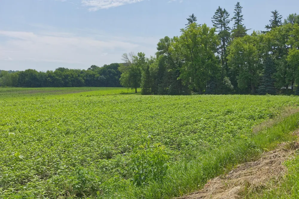 TBD3 Ingram Avenue SW Howard Lake, MN 55349
