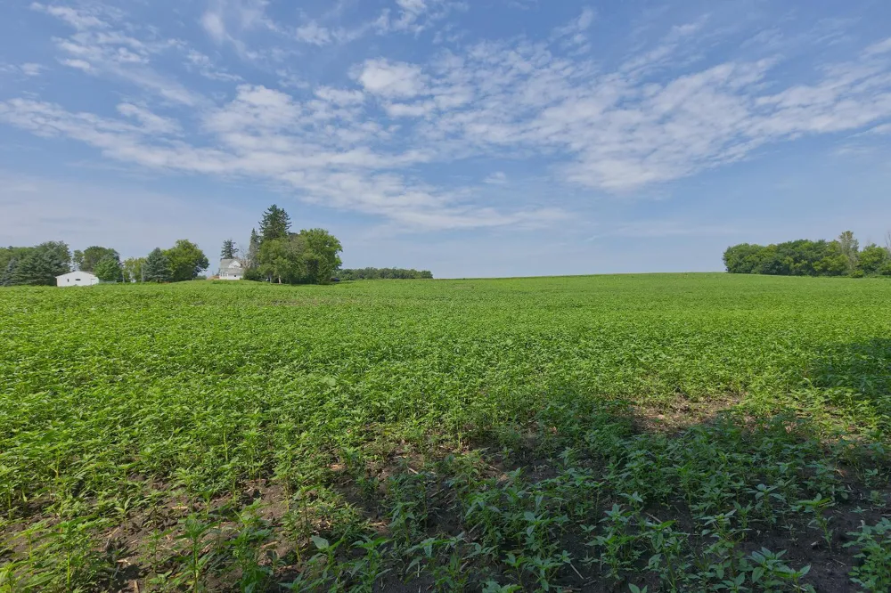 TBD3 Ingram Avenue SW Howard Lake, MN 55349