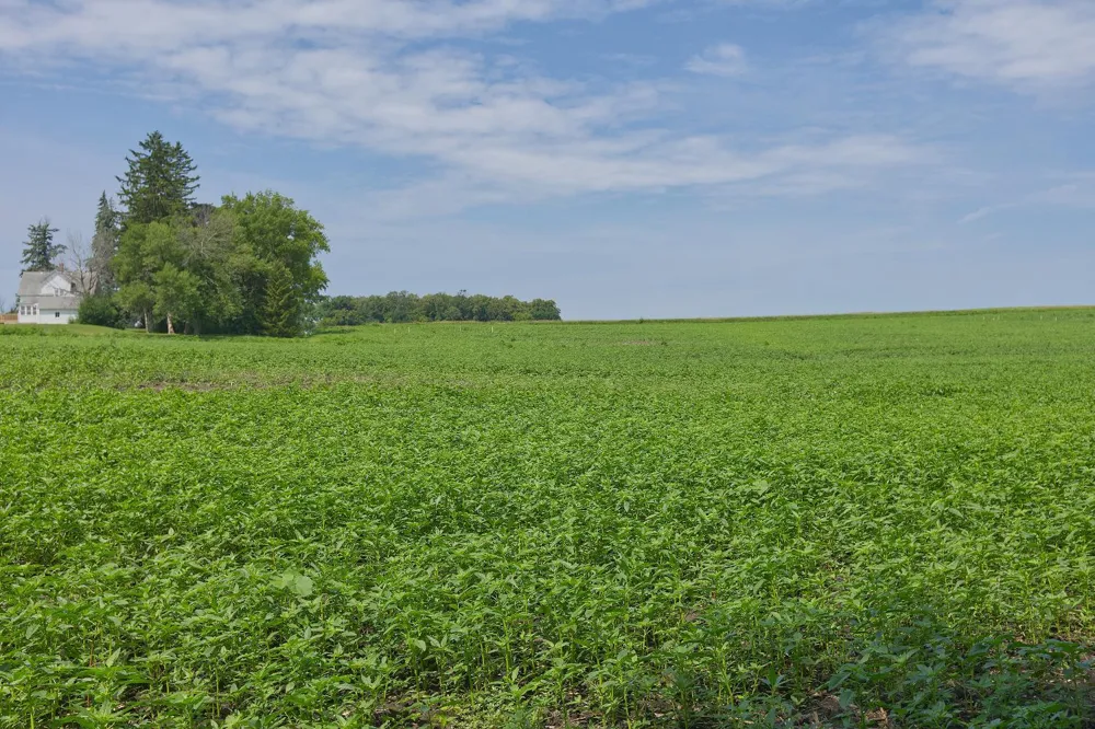 TBD3 Ingram Avenue SW Howard Lake, MN 55349