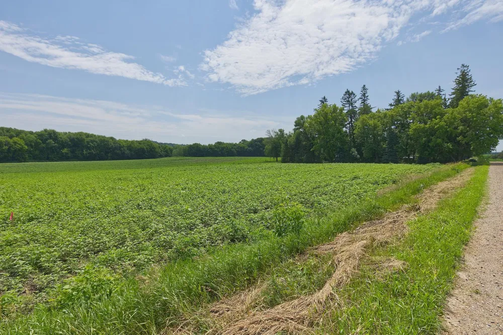 TBD3 Ingram Avenue SW Howard Lake, MN 55349