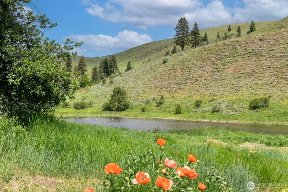 494 Rendezvous Road Winthrop, WA 98862