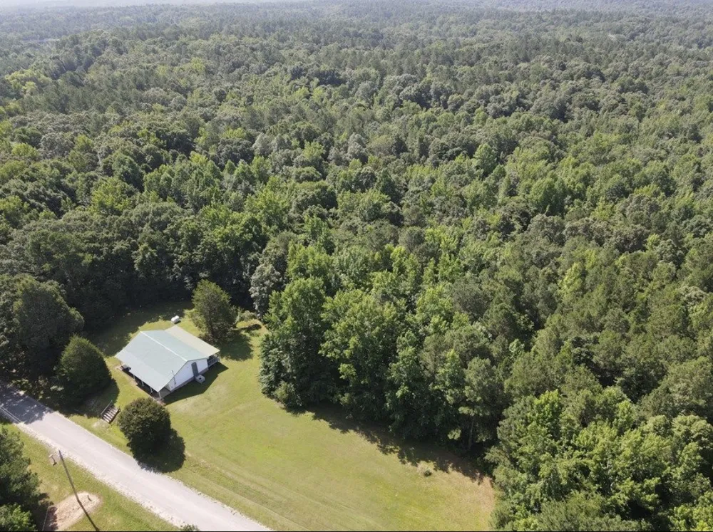 4875 Dollar Rd Buena Vista, TN 38318
