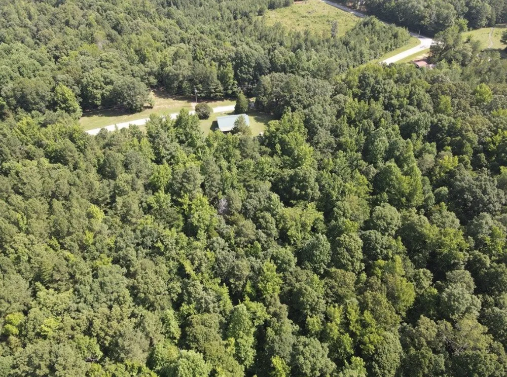 4875 Dollar Rd Buena Vista, TN 38318