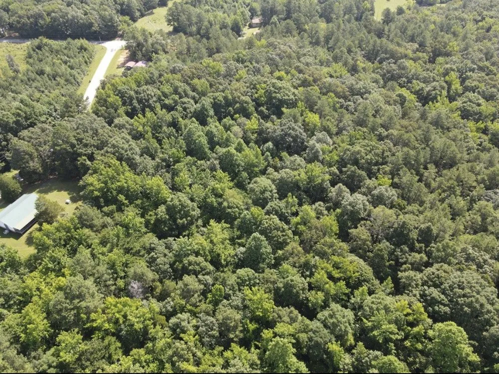 4875 Dollar Rd Buena Vista, TN 38318