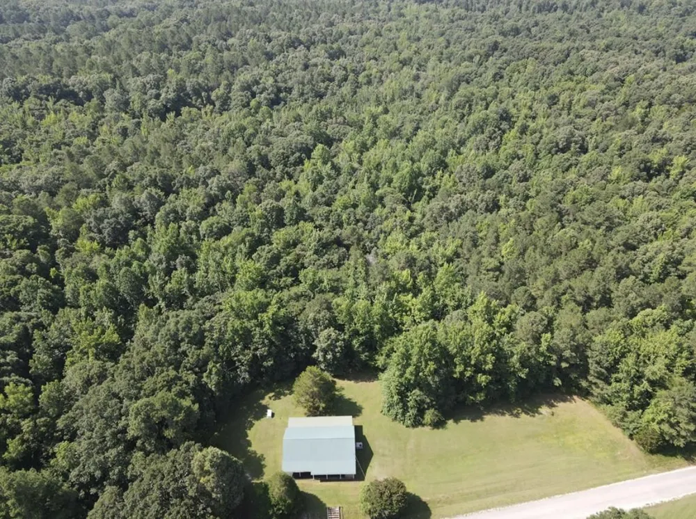 4875 Dollar Rd Buena Vista, TN 38318