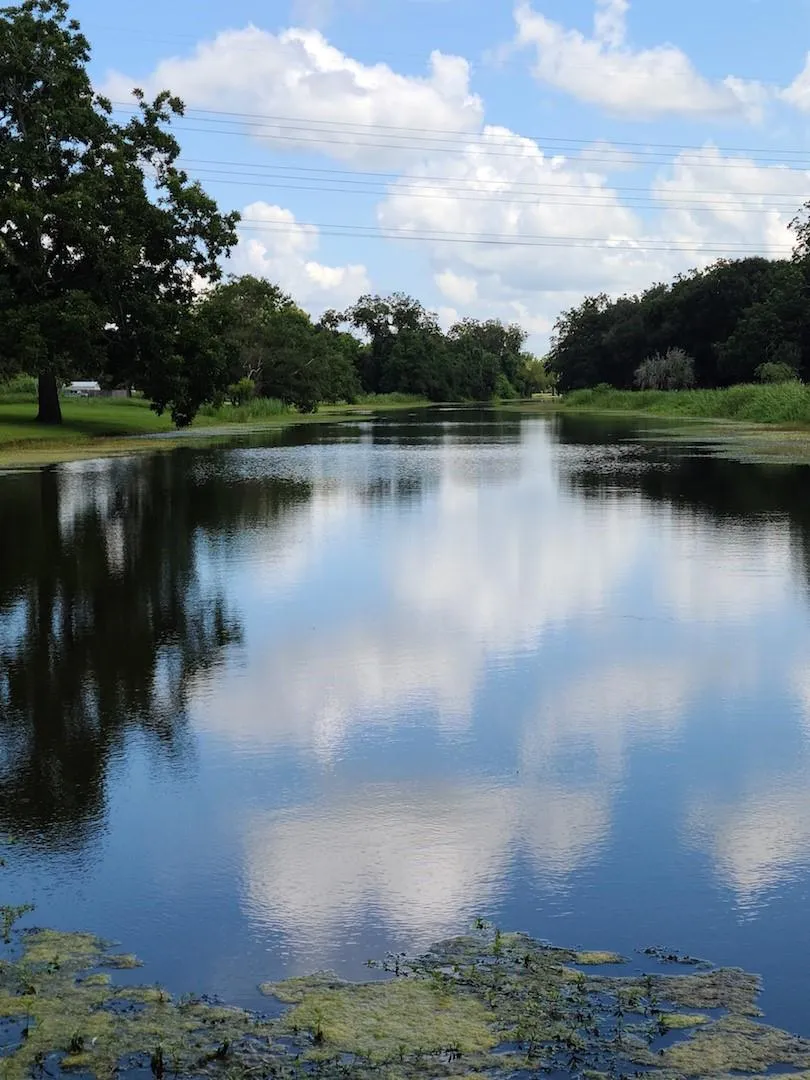 400 Pony Trail Angleton, TX 77515