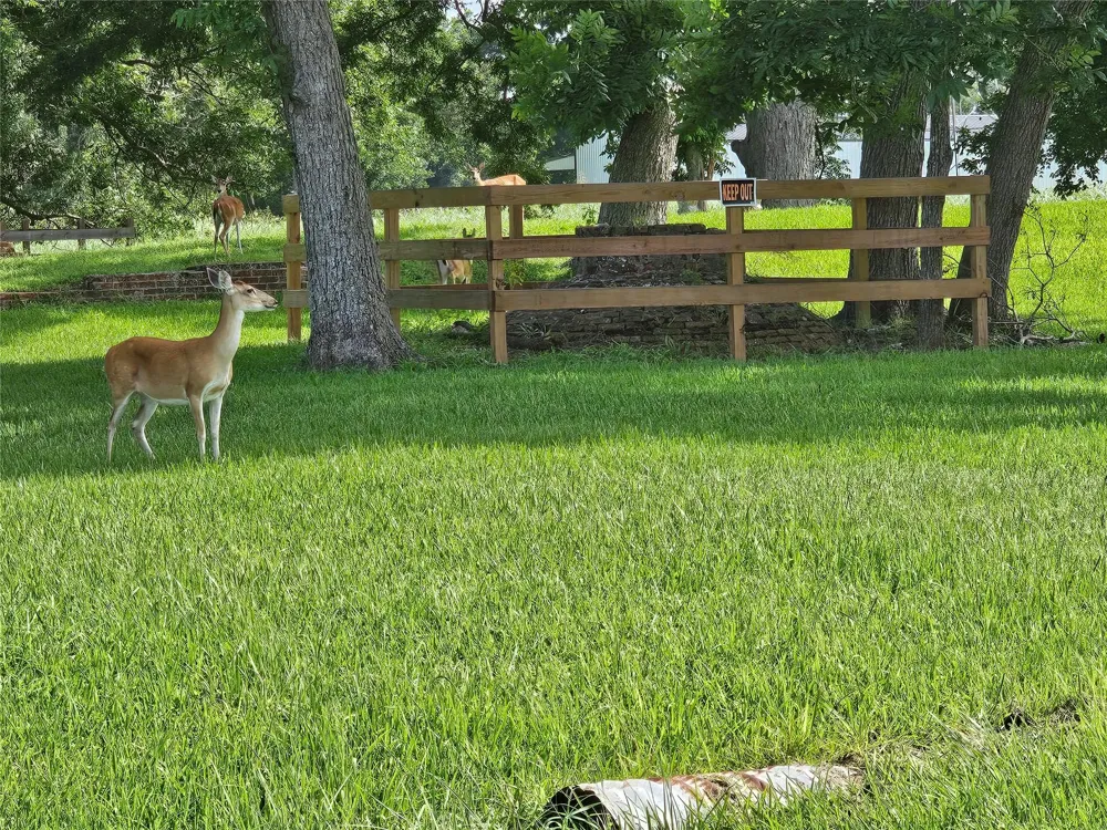 400 Pony Trail Angleton, TX 77515