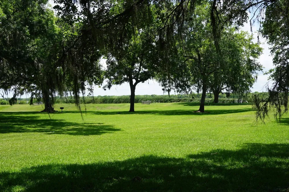 400 Pony Trail Angleton, TX 77515