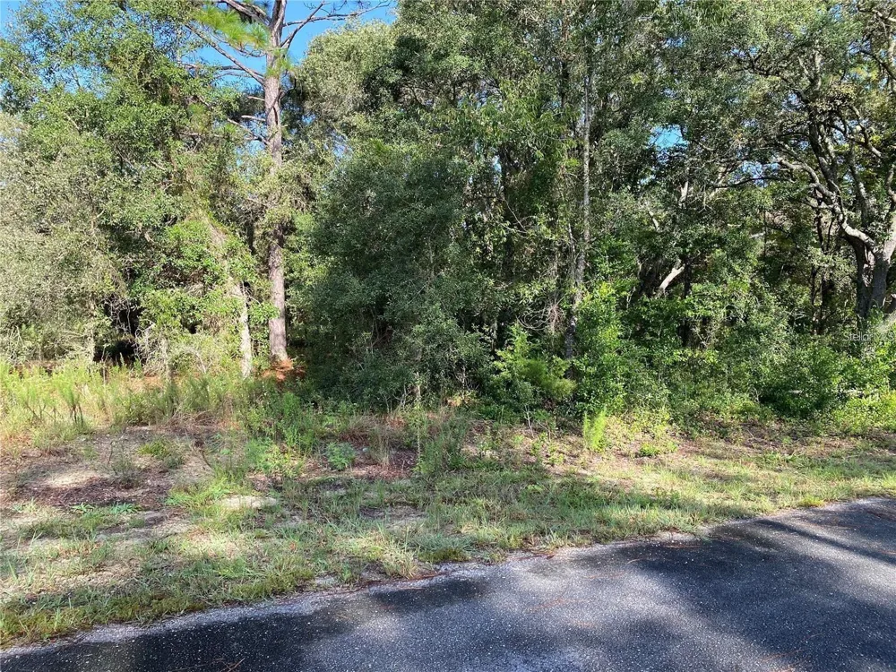 00 SW BREEZY POINT DRIVE Dunnellon, FL 34431