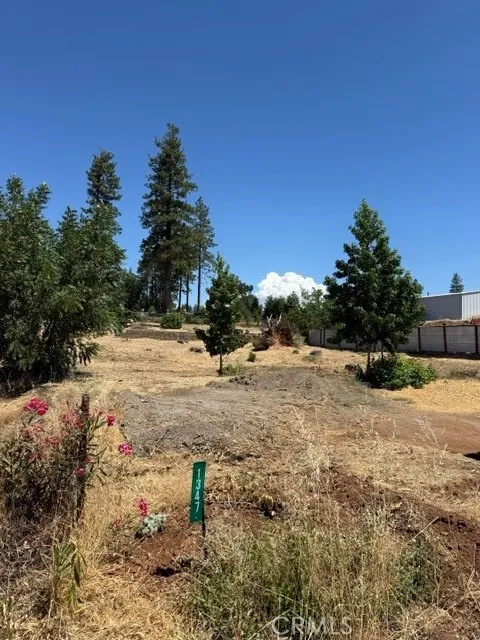 1347 Pearson Paradise, CA 95969
