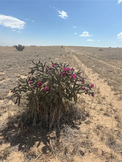 Lot 10 Cuerno Verde Ranches