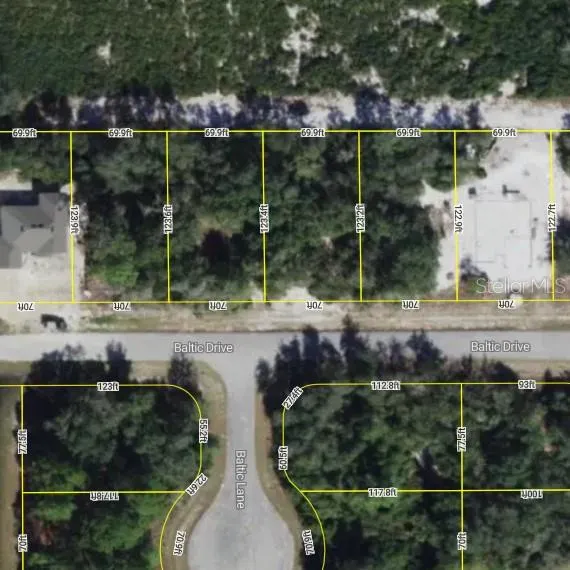 1217 BALTIC DRIVE Poinciana, FL 34759